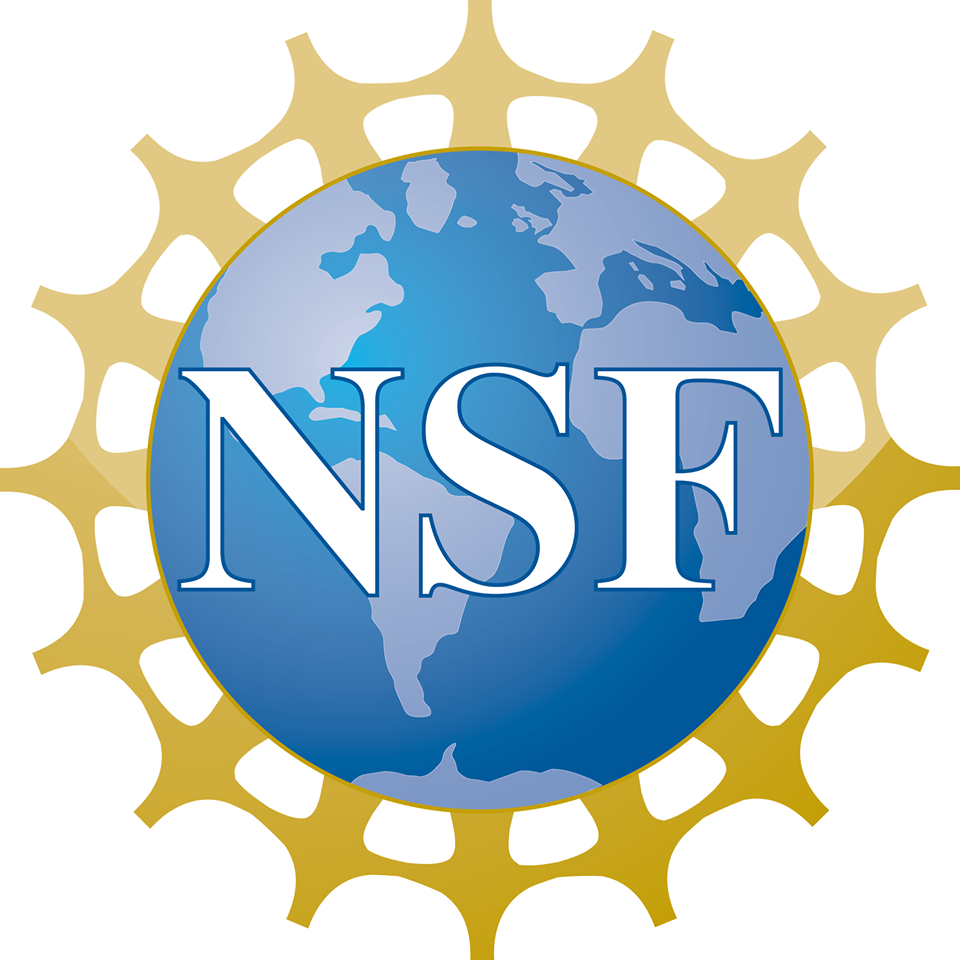 NSF - Institute for International Law and Justice